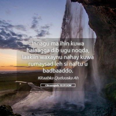 Picture 05 - Cibraaniyada 10:39 SOM - Innagu ma ihin kuwa halaagga dib ugu noqda, - Bible Verse Picture