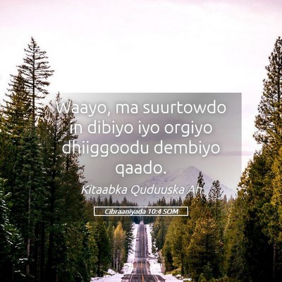 Picture 05 - Cibraaniyada 10:4 SOM - Waayo, ma suurtowdo in dibiyo iyo orgiyo - Bible Verse Picture