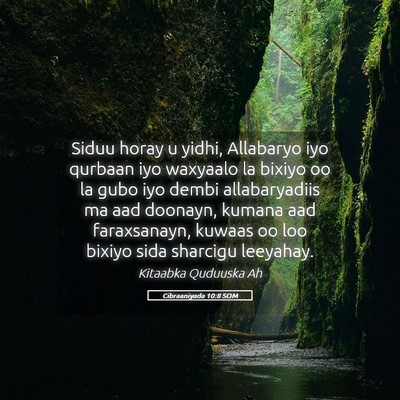 Picture 05 - Cibraaniyada 10:8 SOM - Siduu horay u yidhi, Allabaryo iyo qurbaan iyo - Bible Verse Picture