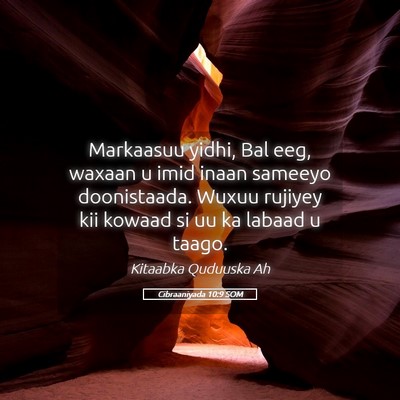 Picture 05 - Cibraaniyada 10:9 SOM - Markaasuu yidhi, Bal eeg, waxaan u imid inaan - Bible Verse Picture