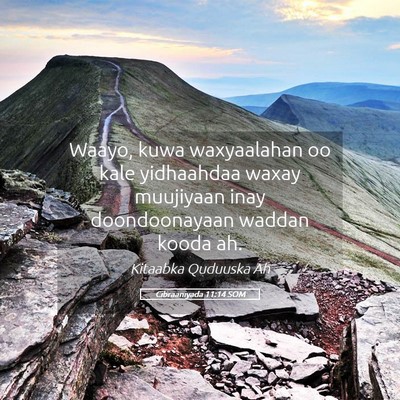 Picture 05 - Cibraaniyada 11:14 SOM - Waayo, kuwa waxyaalahan oo kale yidhaahdaa waxay - Bible Verse Picture