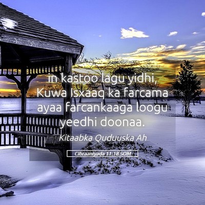Picture 05 - Cibraaniyada 11:18 SOM - in kastoo lagu yidhi, Kuwa Isxaaq ka farcama ayaa - Bible Verse Picture