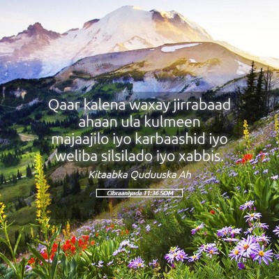 Picture 05 - Cibraaniyada 11:36 SOM - Qaar kalena waxay jirrabaad ahaan ula kulmeen - Bible Verse Picture