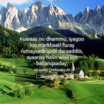 Picture 05 - Cibraaniyada 11:39 SOM - Kuwaas oo dhammu, iyagoo loo markhaati furay - Bible Verse Picture