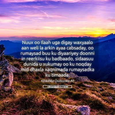 Picture 05 - Cibraaniyada 11:7 SOM - Nuux oo Ilaah uga digay waxyaalo aan weli la - Bible Verse Picture