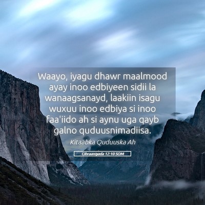 Picture 05 - Cibraaniyada 12:10 SOM - Waayo, iyagu dhawr maalmood ayay inoo edbiyeen - Bible Verse Picture