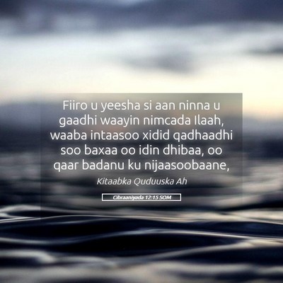 Picture 05 - Cibraaniyada 12:15 SOM - Fiiro u yeesha si aan ninna u gaadhi waayin - Bible Verse Picture