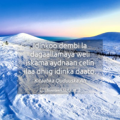 Picture 05 - Cibraaniyada 12:4 SOM - Idinkoo dembi la dagaallamaya weli iskama aydnaan - Bible Verse Picture