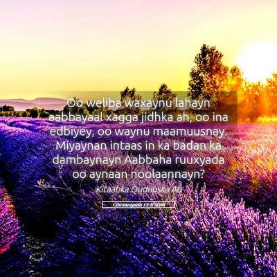 Picture 05 - Cibraaniyada 12:9 SOM - Oo weliba waxaynu lahayn aabbayaal xagga jidhka - Bible Verse Picture