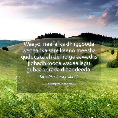 Picture 05 - Cibraaniyada 13:11 SOM - Waayo, neefafka dhiiggooda wadaadka sare keeno - Bible Verse Picture