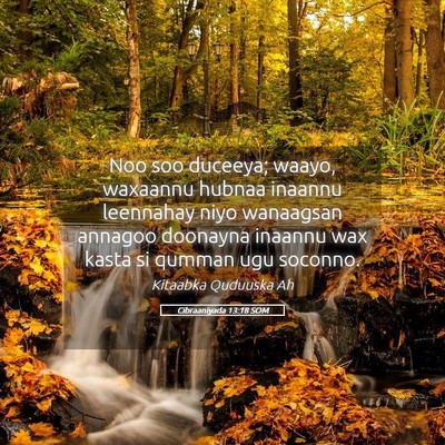 Picture 05 - Cibraaniyada 13:18 SOM - Noo soo duceeya; waayo, waxaannu hubnaa inaannu - Bible Verse Picture