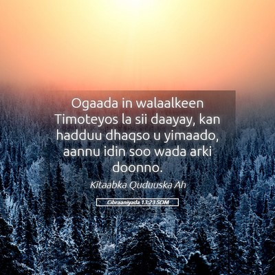 Picture 05 - Cibraaniyada 13:23 SOM - Ogaada in walaalkeen Timoteyos la sii daayay, kan - Bible Verse Picture