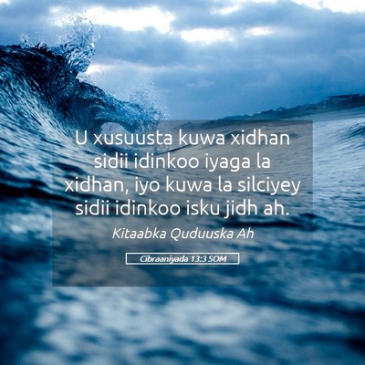 Picture 05 - Cibraaniyada 13:3 SOM - U xusuusta kuwa xidhan sidii idinkoo iyaga la - Bible Verse Picture