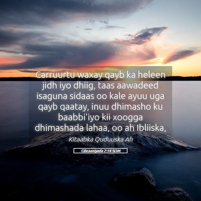 Picture 05 - Cibraaniyada 2:14 SOM - Carruurtu waxay qayb ka heleen jidh iyo dhiig, - Bible Verse Picture