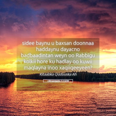 Picture 05 - Cibraaniyada 2:3 SOM - sidee baynu u baxsan doonnaa haddaynu dayacno - Bible Verse Picture