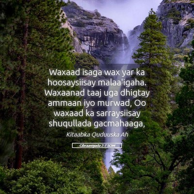 Picture 05 - Cibraaniyada 2:7 SOM - Waxaad isaga wax yar ka hoosaysiisay malaa'igaha. - Bible Verse Picture