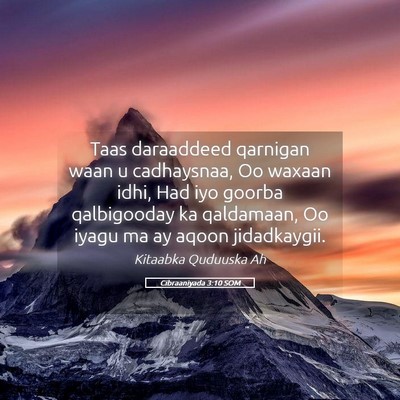Picture 05 - Cibraaniyada 3:10 SOM - Taas daraaddeed qarnigan waan u cadhaysnaa, Oo - Bible Verse Picture