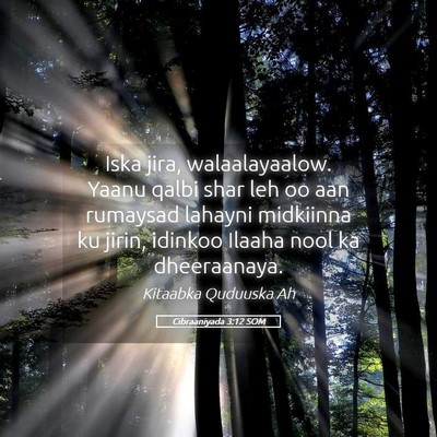 Picture 05 - Cibraaniyada 3:12 SOM - Iska jira, walaalayaalow. Yaanu qalbi shar leh oo - Bible Verse Picture