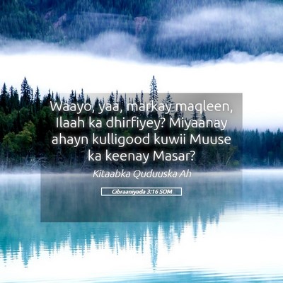 Picture 05 - Cibraaniyada 3:16 SOM - Waayo, yaa, markay maqleen, Ilaah ka dhirfiyey? - Bible Verse Picture