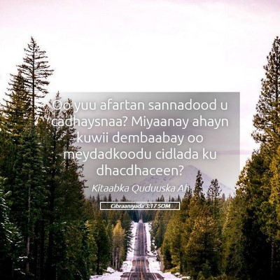 Picture 05 - Cibraaniyada 3:17 SOM - Oo yuu afartan sannadood u cadhaysnaa? Miyaanay - Bible Verse Picture