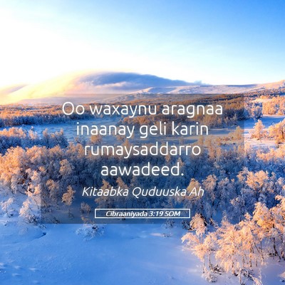 Picture 05 - Cibraaniyada 3:19 SOM - Oo waxaynu aragnaa inaanay geli karin - Bible Verse Picture