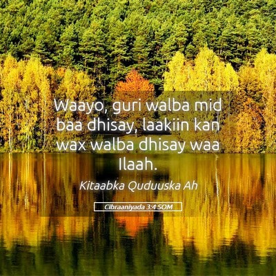 Picture 05 - Cibraaniyada 3:4 SOM - Waayo, guri walba mid baa dhisay, laakiin kan wax - Bible Verse Picture