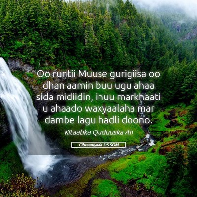 Picture 05 - Cibraaniyada 3:5 SOM - Oo runtii Muuse gurigiisa oo dhan aamin buu ugu - Bible Verse Picture