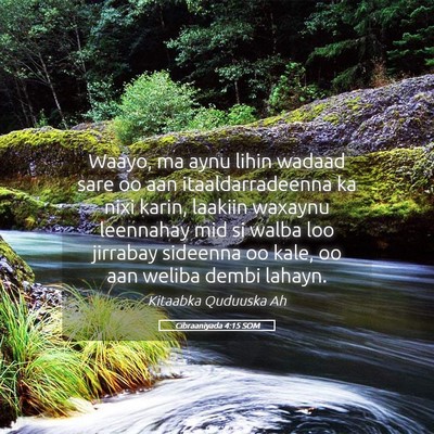 Picture 05 - Cibraaniyada 4:15 SOM - Waayo, ma aynu lihin wadaad sare oo aan - Bible Verse Picture