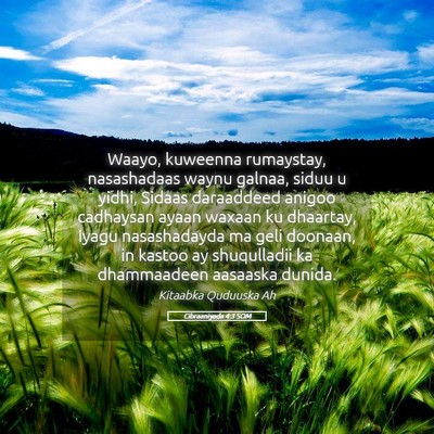 Picture 05 - Cibraaniyada 4:3 SOM - Waayo, kuweenna rumaystay, nasashadaas waynu - Bible Verse Picture