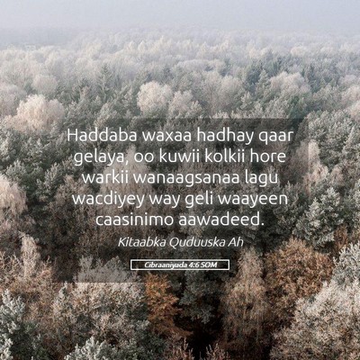 Picture 05 - Cibraaniyada 4:6 SOM - Haddaba waxaa hadhay qaar gelaya, oo kuwii kolkii - Bible Verse Picture
