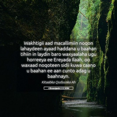 Picture 05 - Cibraaniyada 5:12 SOM - Wakhtigii aad macallimiin noqon lahaydeen ayaad - Bible Verse Picture