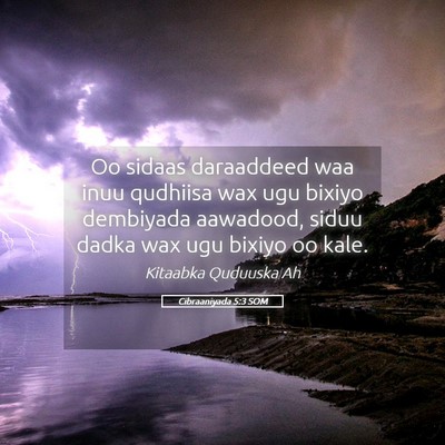 Picture 05 - Cibraaniyada 5:3 SOM - Oo sidaas daraaddeed waa inuu qudhiisa wax ugu - Bible Verse Picture