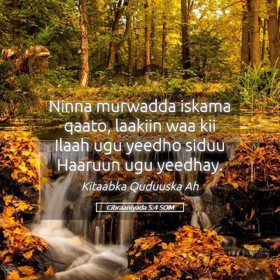 Picture 05 - Cibraaniyada 5:4 SOM - Ninna murwadda iskama qaato, laakiin waa kii - Bible Verse Picture