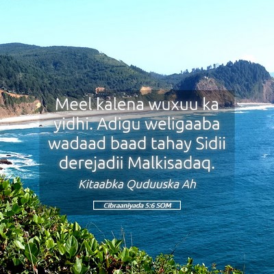 Picture 05 - Cibraaniyada 5:6 SOM - Meel kalena wuxuu ka yidhi. Adigu weligaaba - Bible Verse Picture