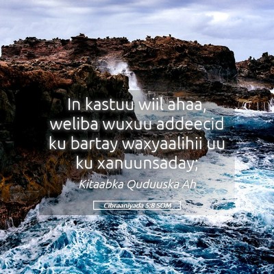 Picture 05 - Cibraaniyada 5:8 SOM - In kastuu wiil ahaa, weliba wuxuu addeecid ku - Bible Verse Picture