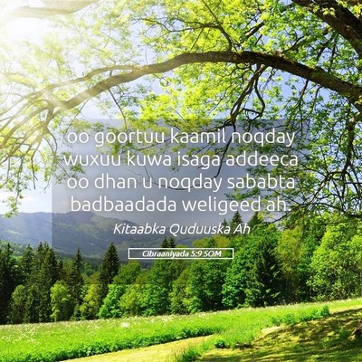 Picture 05 - Cibraaniyada 5:9 SOM - oo goortuu kaamil noqday wuxuu kuwa isaga addeeca - Bible Verse Picture