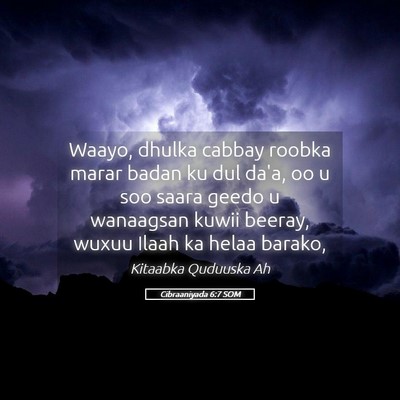 Picture 05 - Cibraaniyada 6:7 SOM - Waayo, dhulka cabbay roobka marar badan ku dul - Bible Verse Picture