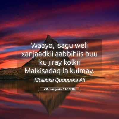 Picture 05 - Cibraaniyada 7:10 SOM - Waayo, isagu weli xanjaadkii aabbihiis buu ku - Bible Verse Picture