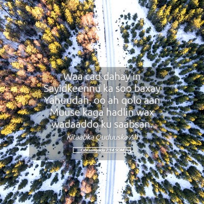 Picture 05 - Cibraaniyada 7:14 SOM - Waa cad dahay in Sayidkeennu ka soo baxay - Bible Verse Picture