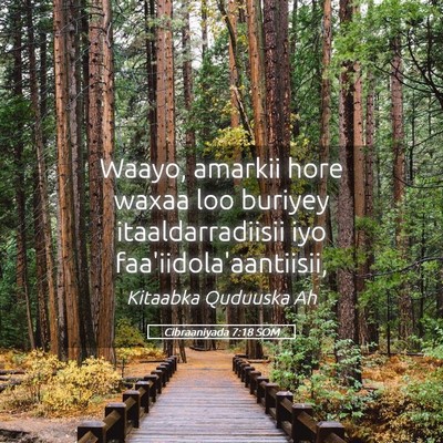 Picture 05 - Cibraaniyada 7:18 SOM - Waayo, amarkii hore waxaa loo buriyey - Bible Verse Picture