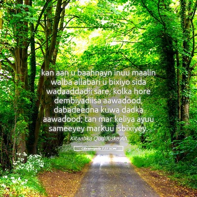 Picture 05 - Cibraaniyada 7:27 SOM - kan aan u baahnayn inuu maalin walba allabari u - Bible Verse Picture