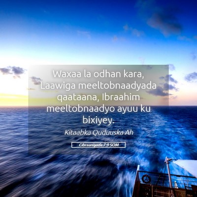 Picture 05 - Cibraaniyada 7:9 SOM - Waxaa la odhan kara, Laawiga meeltobnaadyada - Bible Verse Picture