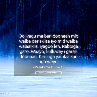 Picture 05 - Cibraaniyada 8:11 SOM - Oo iyagu ma bari doonaan mid walba deriskiisa Iyo - Bible Verse Picture