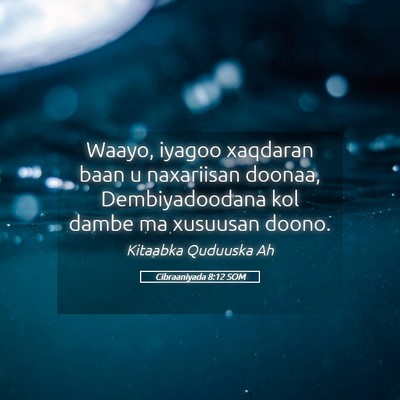 Picture 05 - Cibraaniyada 8:12 SOM - Waayo, iyagoo xaqdaran baan u naxariisan doonaa, - Bible Verse Picture