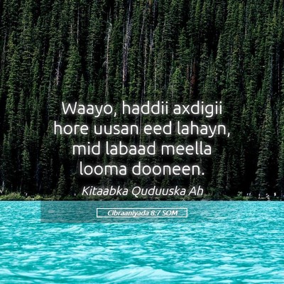 Picture 05 - Cibraaniyada 8:7 SOM - Waayo, haddii axdigii hore uusan eed lahayn, mid - Bible Verse Picture