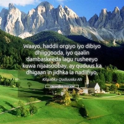 Picture 05 - Cibraaniyada 9:13 SOM - Waayo, haddii orgiyo iyo dibiyo dhiiggooda, iyo - Bible Verse Picture