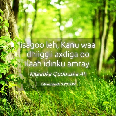 Picture 05 - Cibraaniyada 9:20 SOM - isagoo leh, Kanu waa dhiiggii axdiga oo Ilaah - Bible Verse Picture