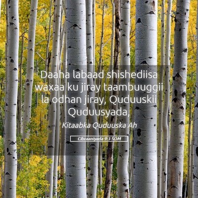 Picture 05 - Cibraaniyada 9:3 SOM - Daaha labaad shishediisa waxaa ku jiray - Bible Verse Picture