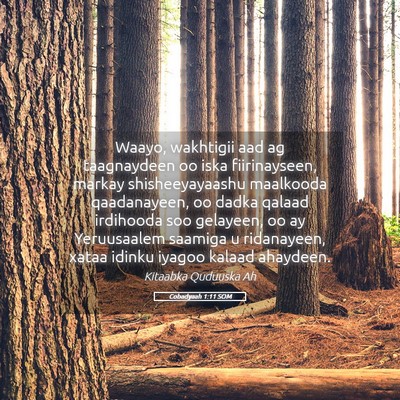 Picture 05 - Cobadyaah 1:11 SOM - Waayo, wakhtigii aad ag taagnaydeen oo iska - Bible Verse Picture