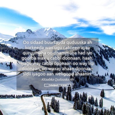 Picture 05 - Cobadyaah 1:16 SOM - Oo sidaad buurtayda quduuska ah korkeeda wax ugu - Bible Verse Picture